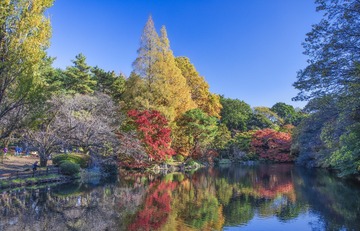 连绵远山