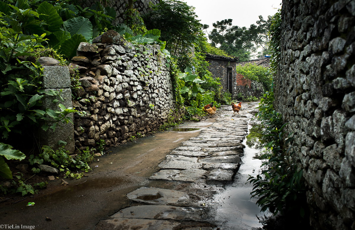 罗驿古村 (三)