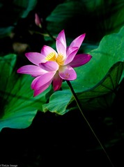 2016新城-0075