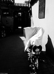 南锣鼓巷-8260