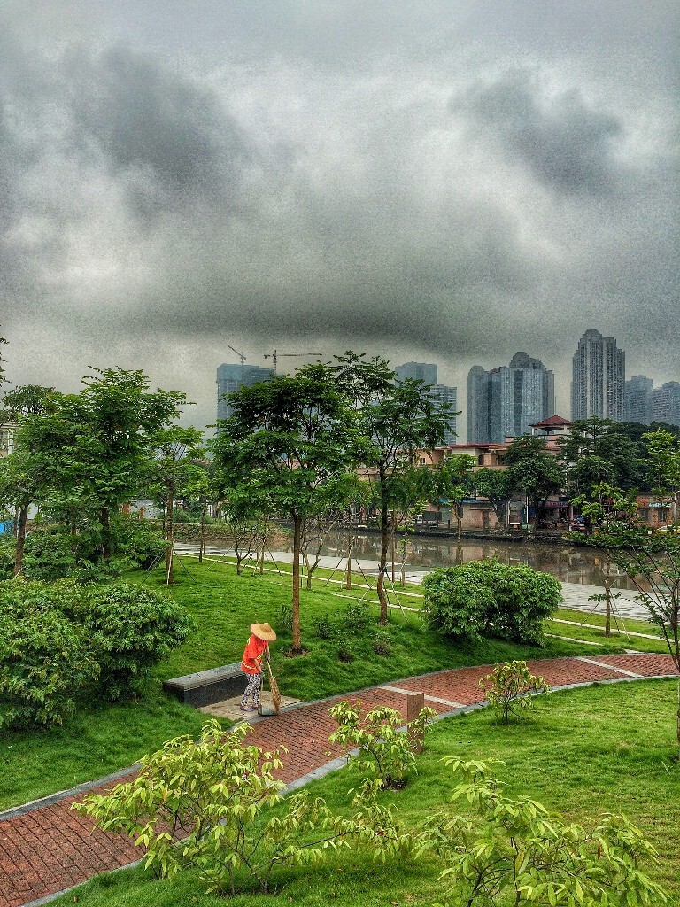 你的身影美丽了这个城市