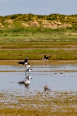 IMG_4377 2