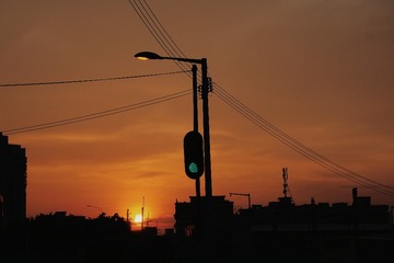 P5230010-01