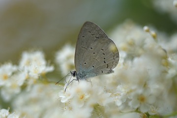 2392051