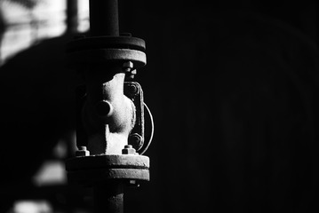 IMGP0017_