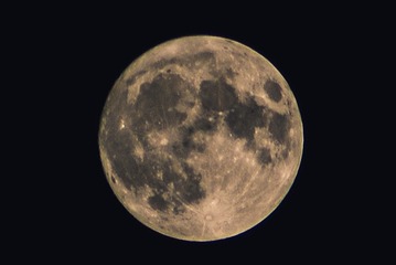 1569688
