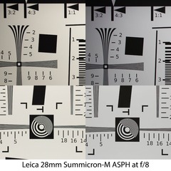 19leica28cronat8