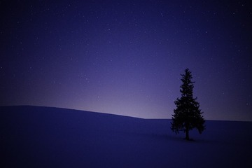 SEL50F14Z - DSC0922