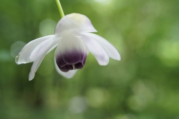 or-a7rm2_wsel50m28_uptoa3_dsc0362-1