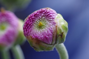 610871