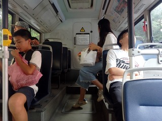 176164
