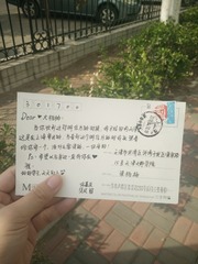 2339517