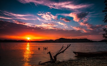 5D3_8077