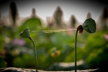 5D3_8671
