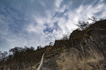5D3_9800