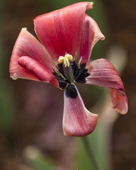 SJY_0097