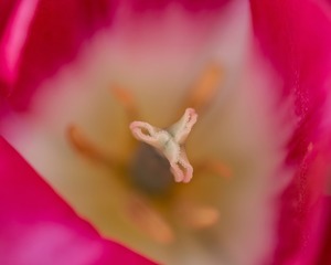 SJY_0108