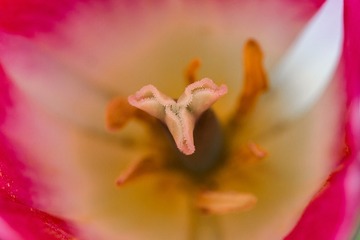 SJY_0111