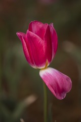 SJY_0114