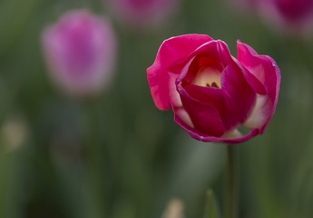 SJY_0151