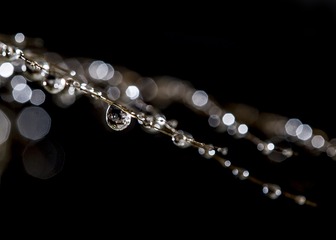 SJY_0266