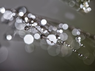 SJY_0267