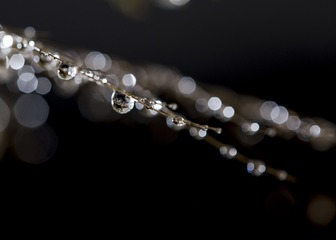SJY_0270