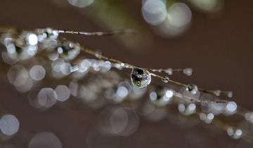 SJY_0275