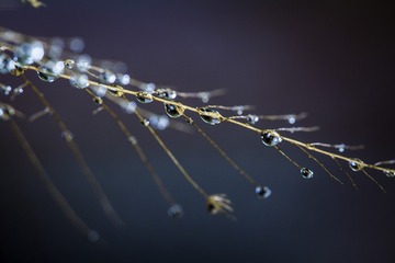 SJY_0278