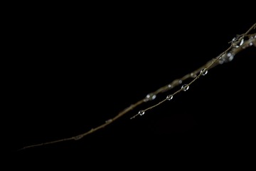 SJY_0285