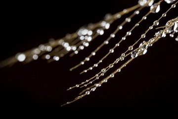 SJY_0286