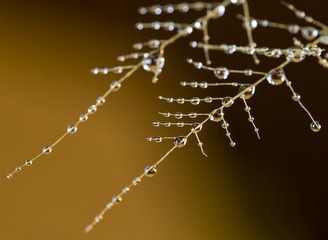 SJY_0294