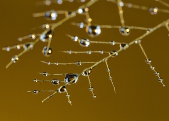 SJY_0301
