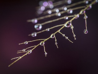 SJY_0309