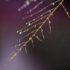 SJY_0310