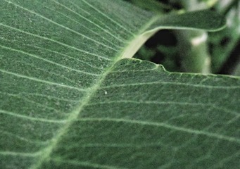 20151201_120158-01