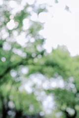 7DC6905B-C1ED-4A4C-80FE-3DF8B88C0376/L0/001