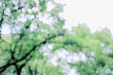 0B2EB58E-8CE0-4963-A5DB-626BA628FC43/L0/001