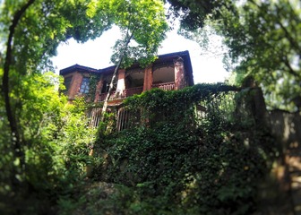 DSC01077-01