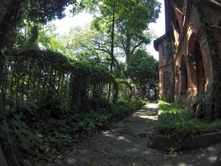 DSC01082-01