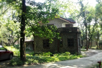 DSC01036-01
