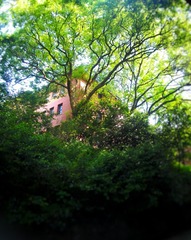 DSC00990-01