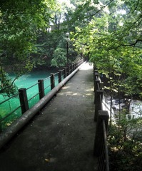 DSC01030-01