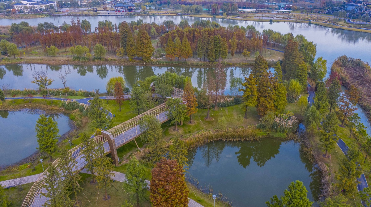 扬州是个好地方运河三湾景区初冬景色醉游人