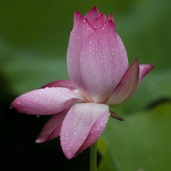 DF3B3CA2-40AB-4FA5-B451-977F6F5005EF/L0/001