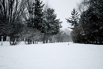 3222821