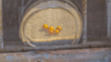 149363