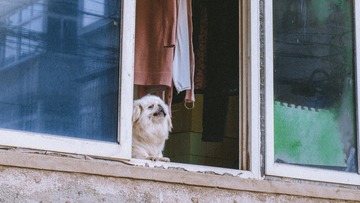 90104