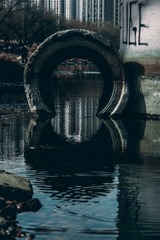 1126