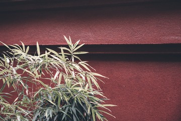 广富林-13